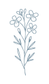 Icon Wiesenschaumkraut blau